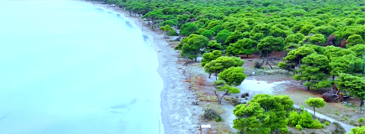 Tailor-made tours hero image